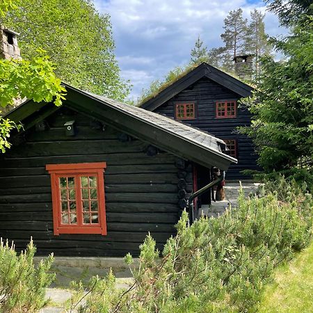 Hallingstua Oslo Exteriér fotografie